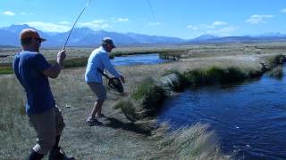 Fishing on the Owens River - The one that didn't get away By Barbara L. Steinberg