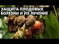 ПРЯМО СЕЙЧАС ОПРЫСНИТЕ свои ДЕРЕВЬЯ!