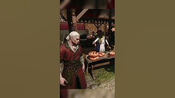 The Witcher 3: Bugs Compilation, Funny Moments