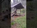 Can’t Sleep? Watch this Rainy Forest Cabin #ASMR #SlowLiving #Nature #Peaceful #Relaxation