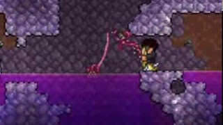 Terraria - Tin Can