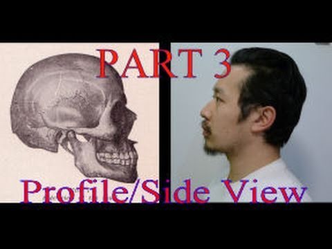 part3-face-proportions-for-portrait-drawing:-ultimate-guide-(profile-view)