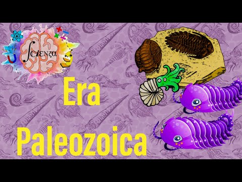 La Era Paleozoica y sus 6 periodos | Cámbrico, Ordovícico, Silúrico, Devónico, Carbonífero y Pérmico