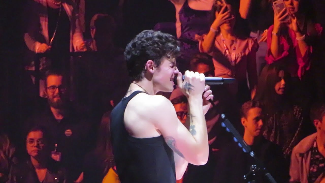 shawn mendes particular taste shawn mendes the tour, london 16.04.19 YouTube