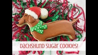 dachshund biscuits