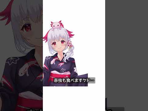 意外と知らない？ウーパールーパーの主食　#shorts #雑談 #アニメ