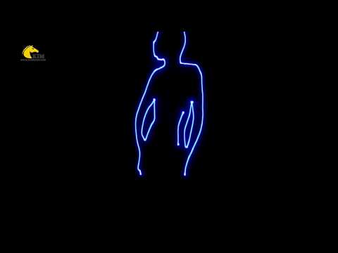 Unit&agrave; Laser RGB Per Animazioni - SD-RGB500 WY502 Con Scheda TF, Oltre 100 Effetti