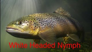Tie the fly that will catch you that fish