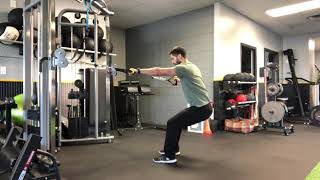 Alternating single arm cable row w/ iso hold