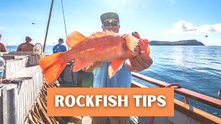 Rockfish Fishing Tips | Deep Sea Fishing in Southern California & Orange County screenshot 5