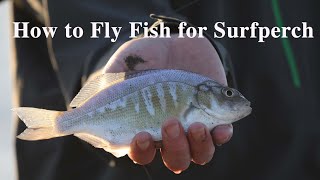 How to Fly Fish for Surfperch