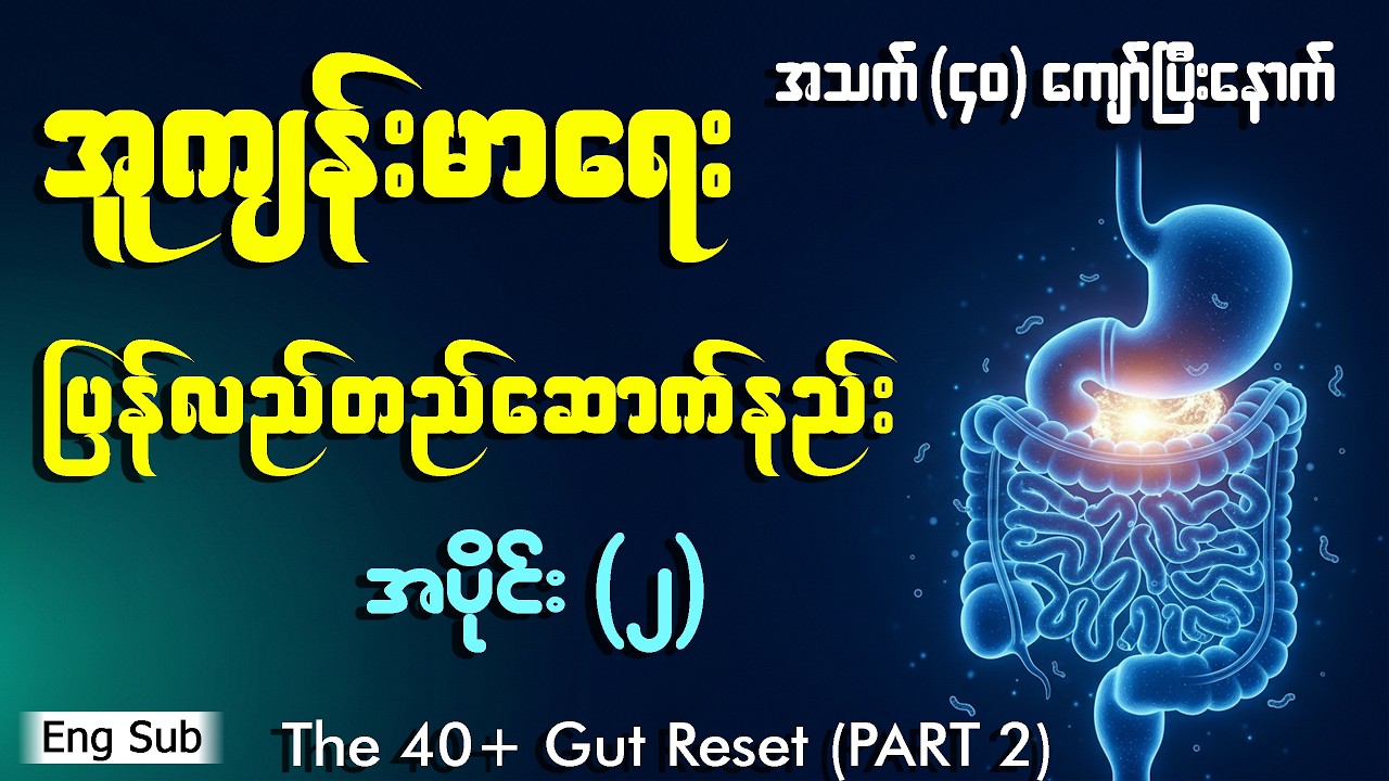 အူလမ်းကြောင်းပြန်လည်တည်ဆောက်နည်း | The 40+ Gut Reset (PART 2)