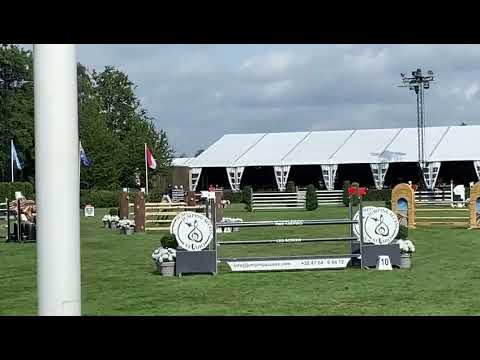 Next Funky De Muze - CSI1* Moerzeke - 22 07 2023 - JO