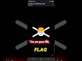 Only Anime Fans Can Guess This Flag 👀#shorts#anime#onepiece#guess#flag