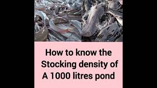 How to know the stocking density of 1000 litres tank pond