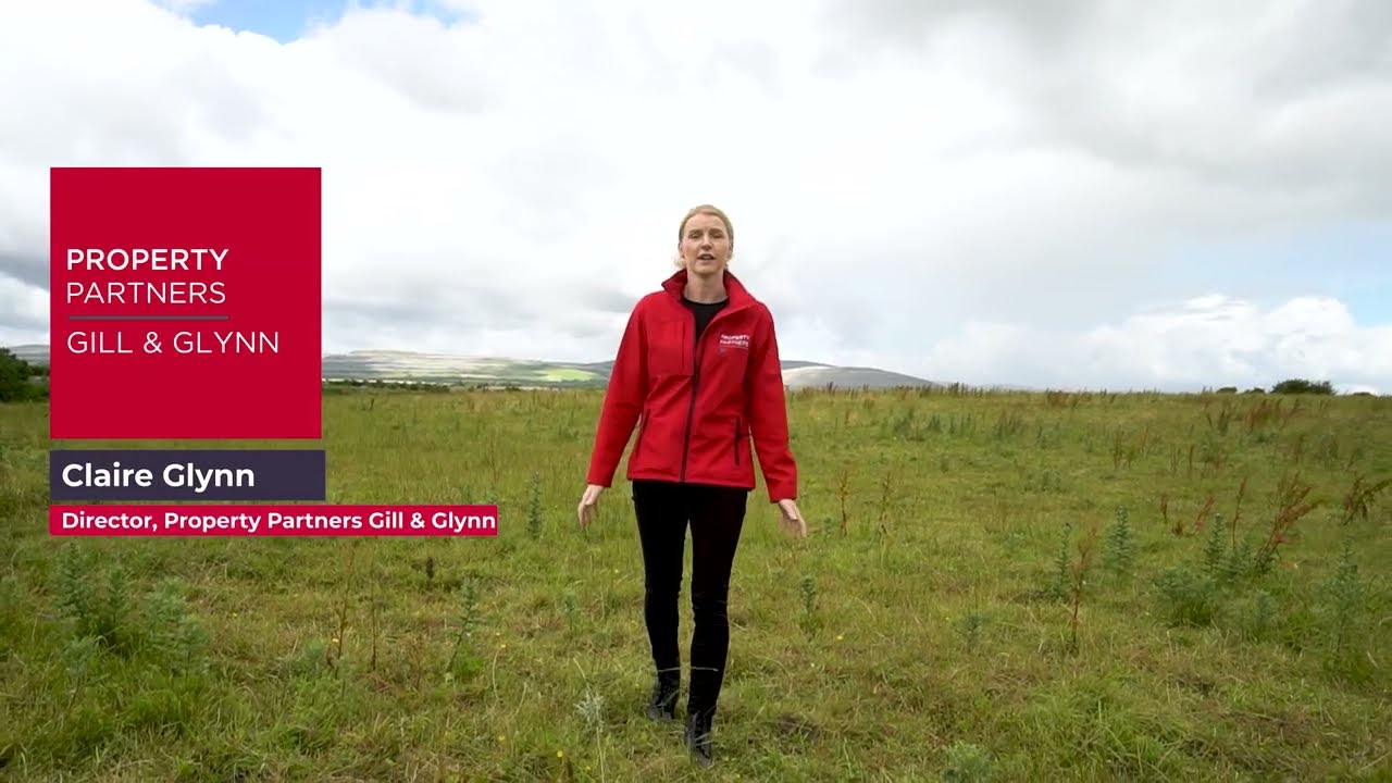 Lot 1 & 2 Poulataggle, Gort, County Galway/Clare, H91 K83H