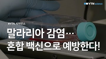 말라리아 감염…혼합 백신으로 예방한다! / YTN 사이언스