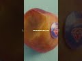 Love is a peach