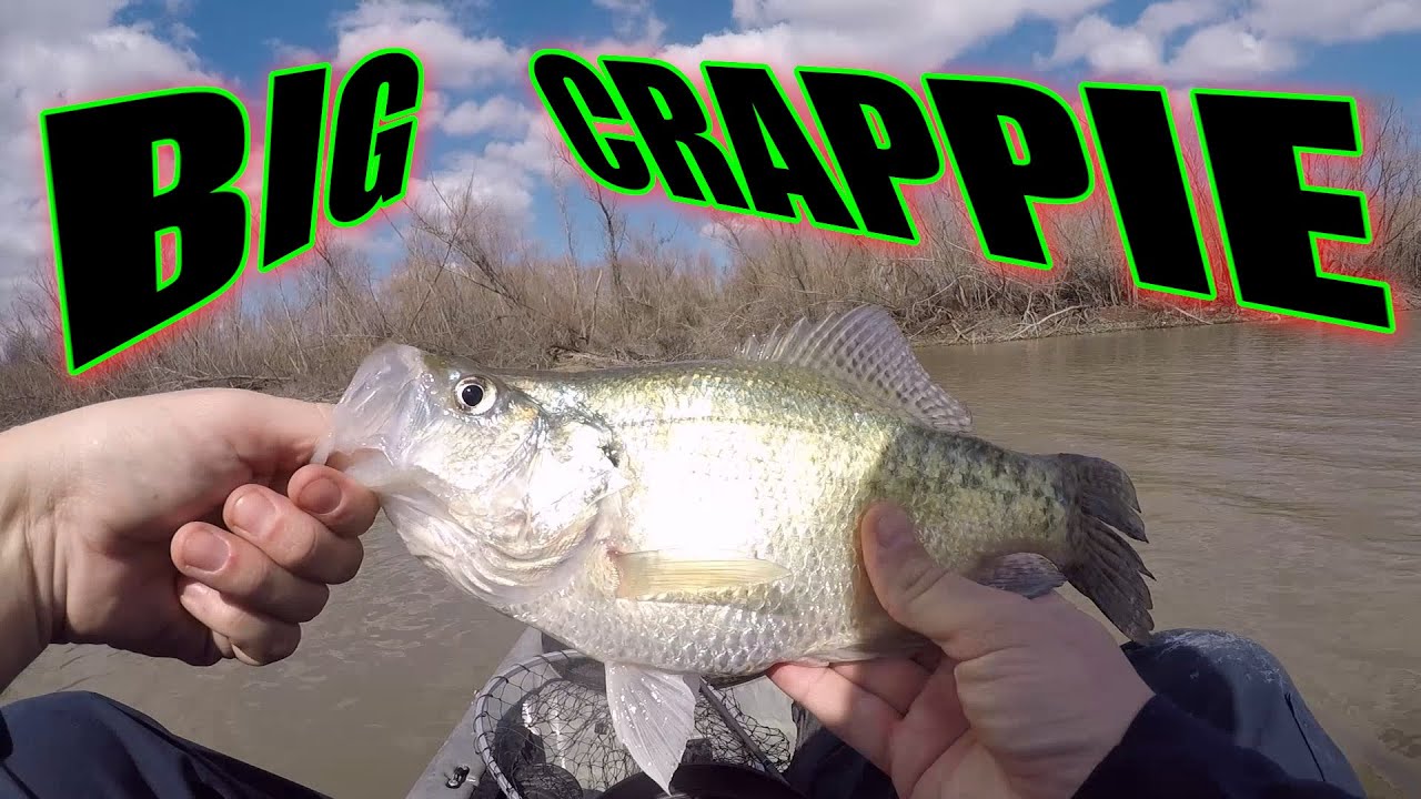 Kayak Fishing the Frio River YouTube