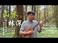 即興原創《山木。林深。》烏克麗麗尤克里里指彈獨奏演奏w. Kiwaya Ukulele Solo FreeStyle Improvisation