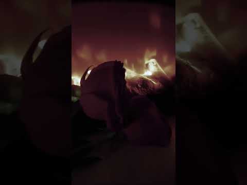 شوقي ولهفتي عيد حب