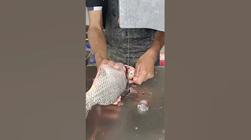 Tilapia Fish Machine Cutting Skills L Amazing Tilapia Fish Cutting In Bangladesh Fish Market 