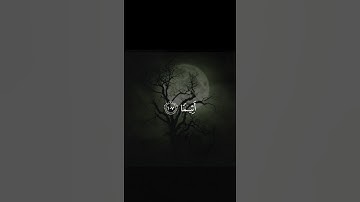 اكتب شيء تؤجر عليه 😴🤍 القارئ ياسر الدوسري
