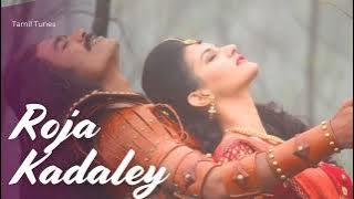 Roja Kadaley | Anegan | Harris Jayaraj | Dhanush |Love hits | Melody |Romantic songs |Chinmayi | 