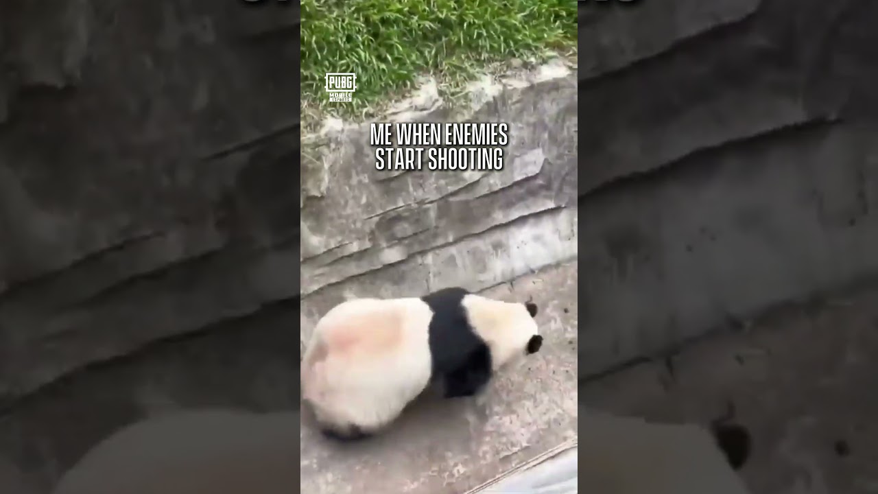 Panic mode: ACTIVATED! 🚨😂 