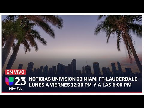 En vivo: Univision 23 Miami 12:30 pm, 23 de abril de 2024