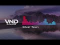 Silent Tears | Emotional Cinematic Strings