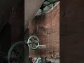 We Cut a $100K Log #sawblade #woodworking #wood