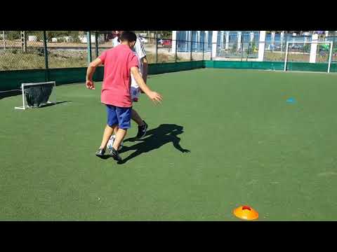 Panna ტურნირი საქართველოში