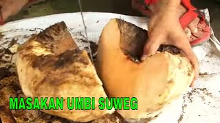 MASAKAN UMBI SUWEG | JEJAK SI GUNDUL (06/02/22)