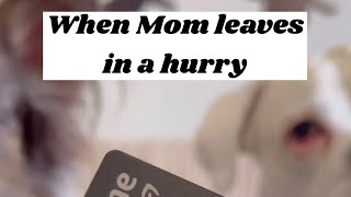When Mom Leaves In A Hurry 🤓