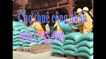 Bốc xếp hàng hóa