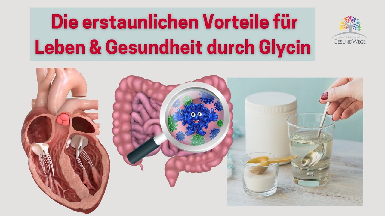 Die erstaunlichen Vorteile für Leben und Gesundheit durch Glycin