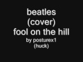 fool on the hill  (beatles cover)