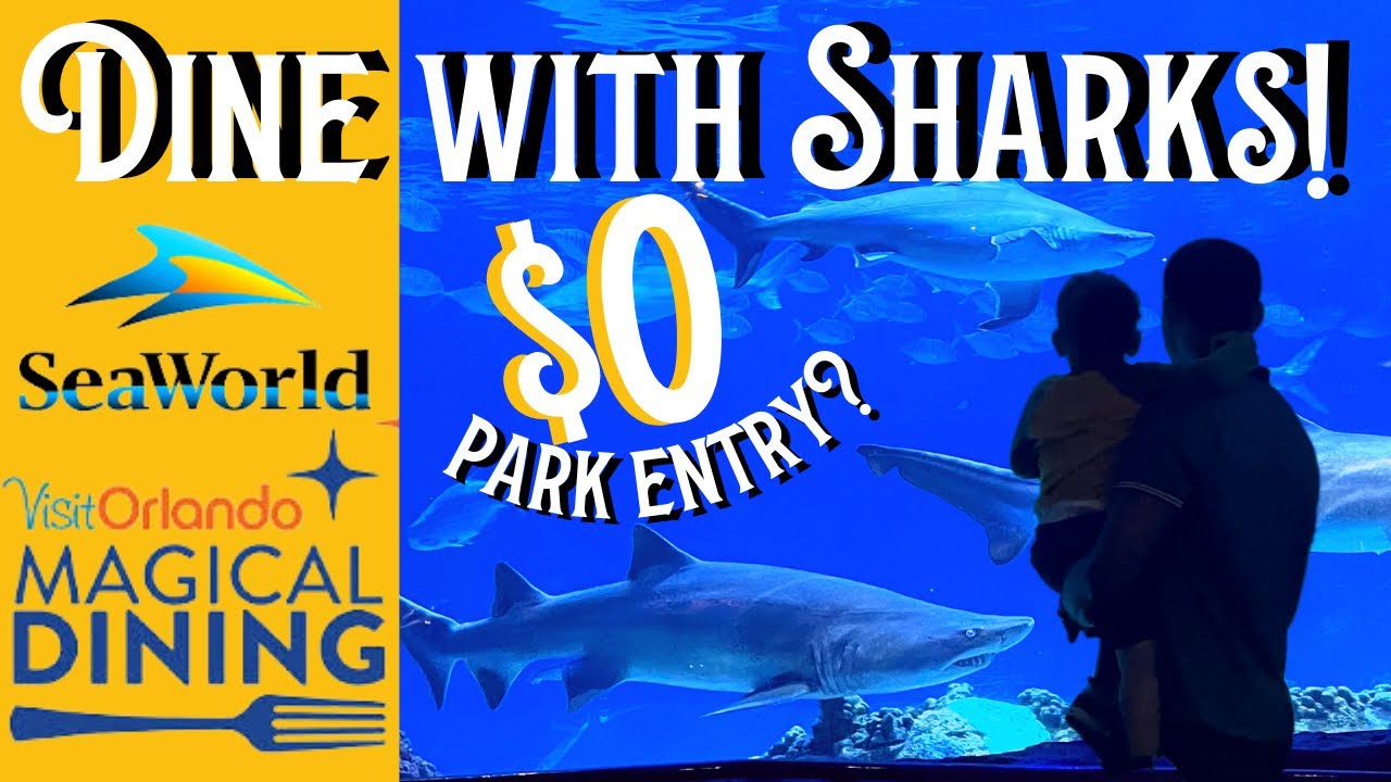 FREE SeaWorld Day with Magical Dining Month! // Sharks Underwater Grill