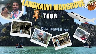 Langkawi Mangrove Tour 2026: The Ultimate Kilim Geoforest Park Guide 🛶