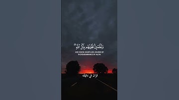 قران كريم ارح قلبك وسمعك #قران_في_دقيقة #quran #المصحف #قرآن @قران_في_دقيقة