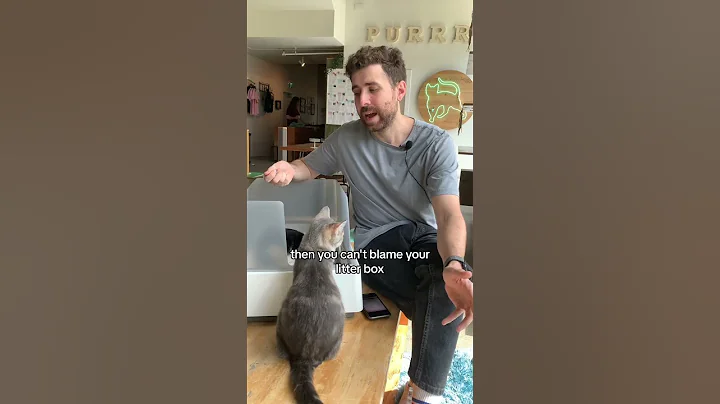 Does your apartment SMELL like cat litter? - DayDayNews