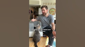 Does your apartment SMELL like cat litter?