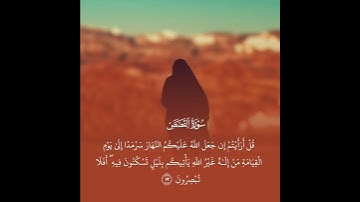 ايات من سورة القصص الآيه71-72 #قران_كريم #قرآن #ياسر_الدوسري #تلاوة_خاشعة