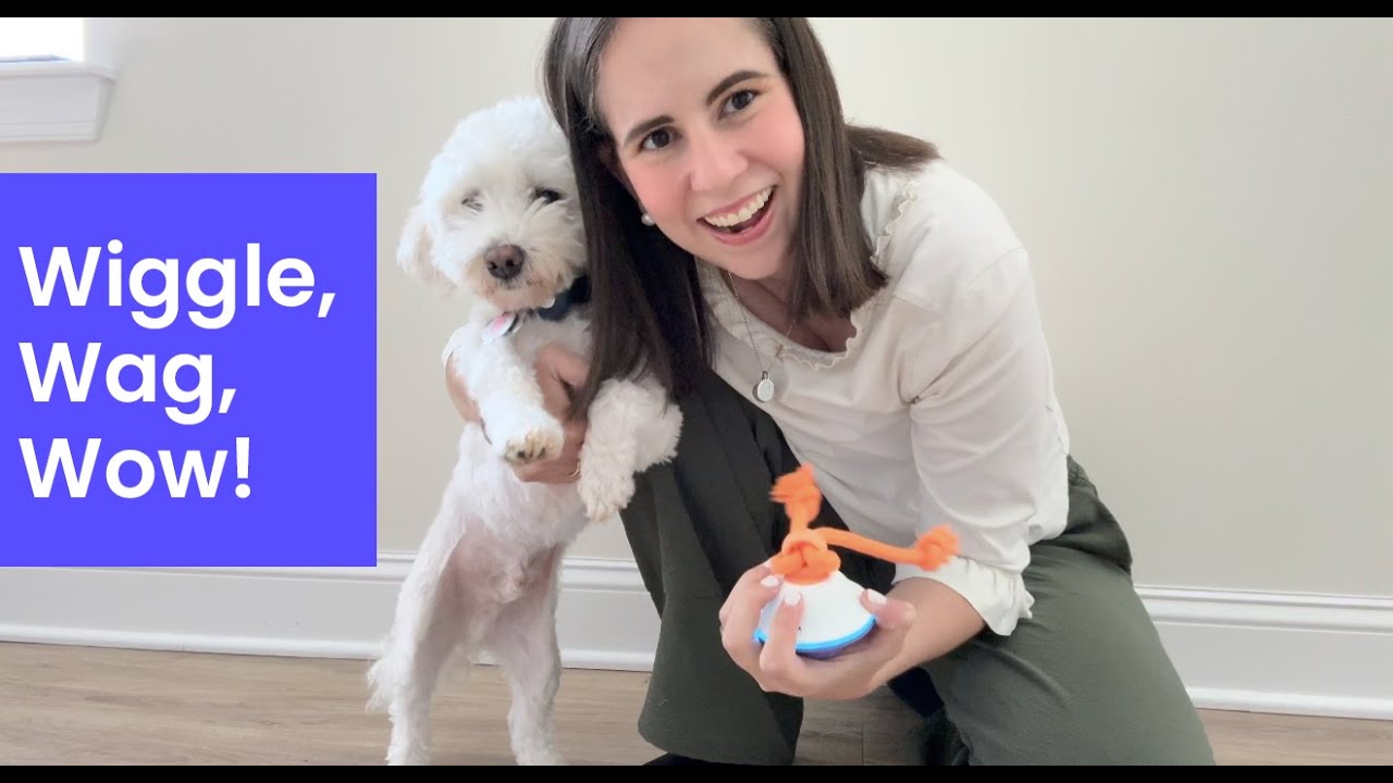 Wiggle, Wag, Wow! 🪄✨