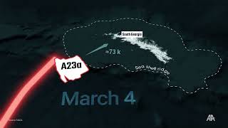 🧊 The world's largest iceberg, A23a, grounds off South Georgia Island