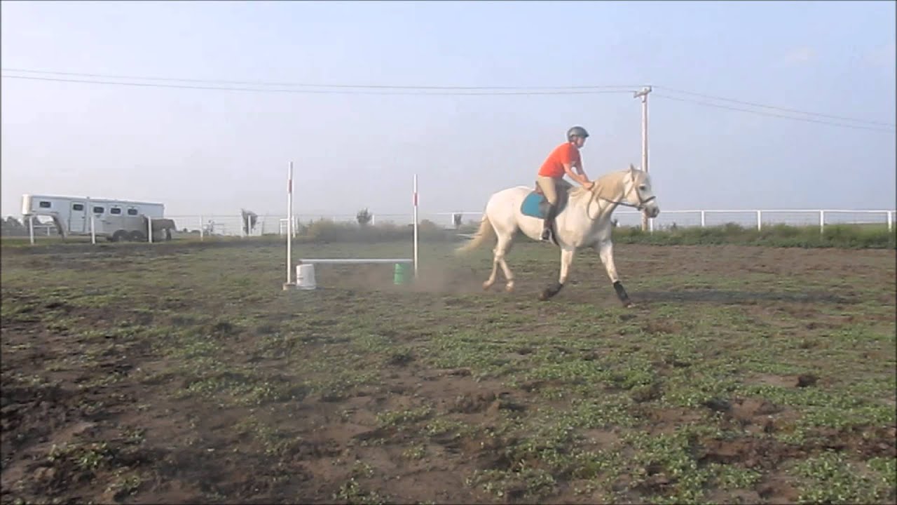 Romeo - Hunter Hack - Jumping - YouTube