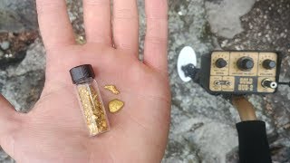 How To Find GOLD Using the Fisher Gold Bug 2!