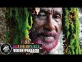 Capture de la vidéo Lee Scratch Perry's  - Vision Of Paradise - (Docu. Fr)