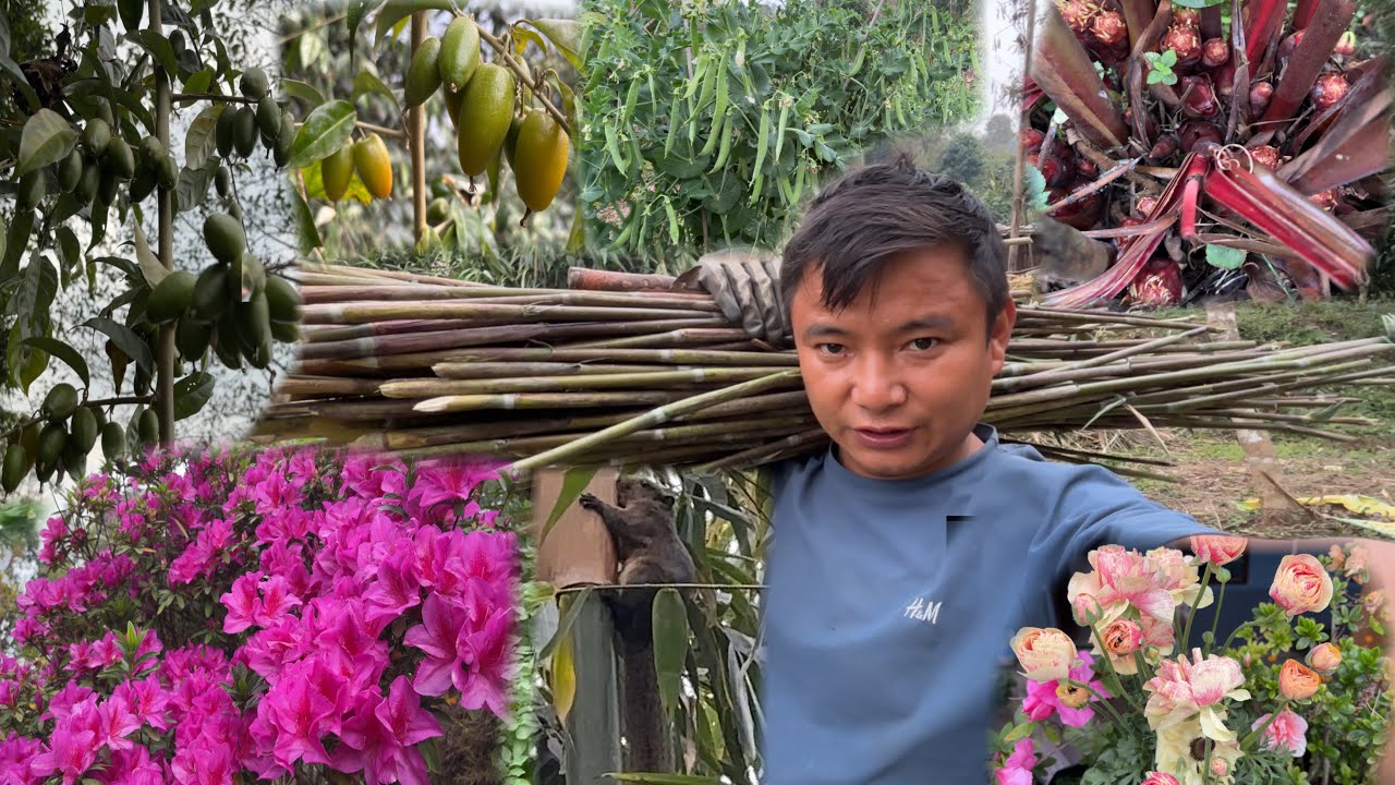 Silverberry Fruits Cardamom Azaleas Flowers Wow ||Rural Life In Village Vlog ||